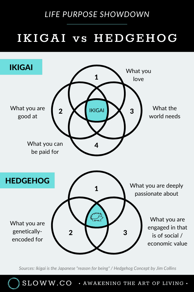 Hedgehog Concept by Jim Collins vs Ikigai (+ Infographics)