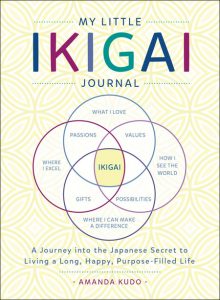 Ikigai 2.0: Evolving the Ikigai Diagram for Life Purpose | Sloww