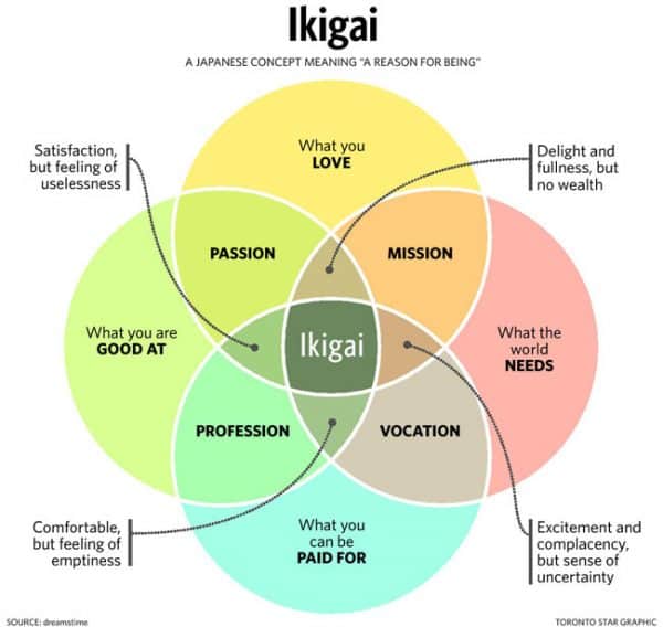 Ikigai 2.0: Evolving the Ikigai Diagram for Life Purpose | Sloww